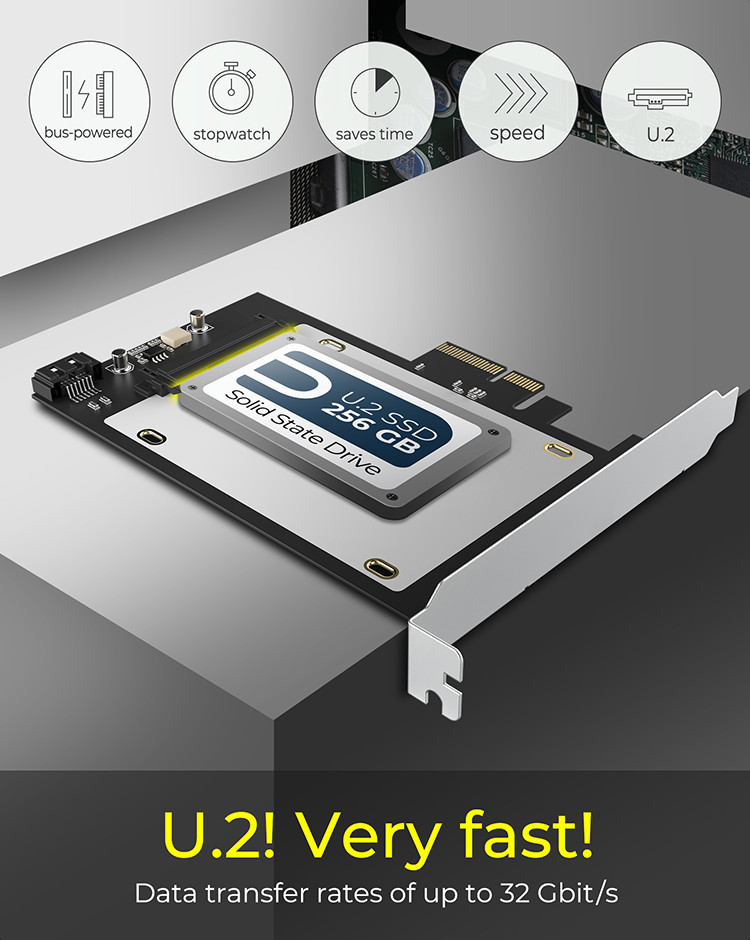 Adapter, U.2 to M.2 - 2.5” U.2 NVMe SSD - Drive Adapters and Drive  Converters, Hard Drive Accessories